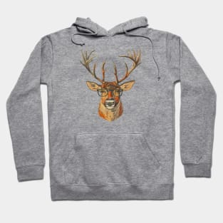 NordicLens Heritage: Reindeer Remix Hoodie